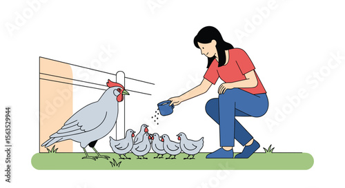 Woman feeds chickens and rooster on a farm with fence and grass