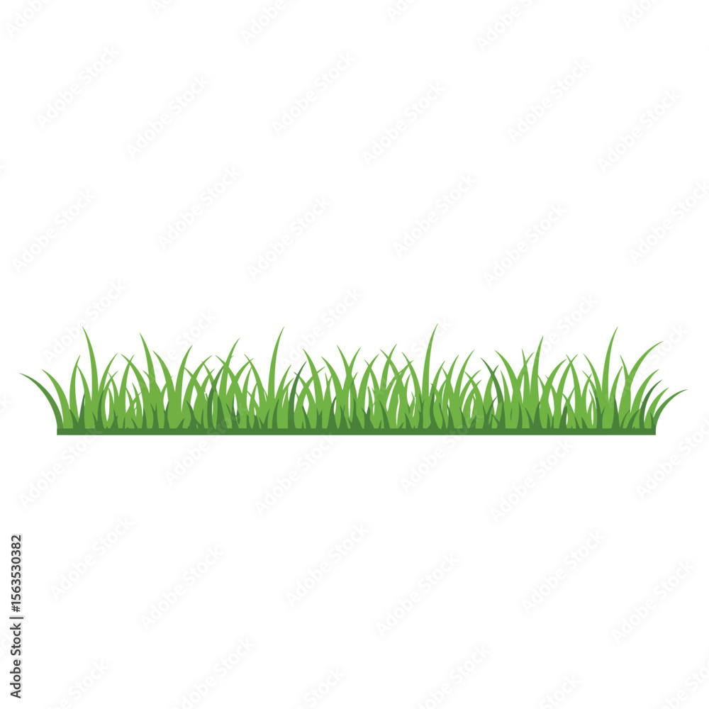 Fototapeta premium green grass on white background
