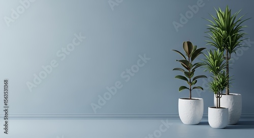 Indoor potted plants on blue-gray wall with minimalist floor