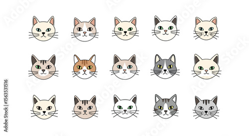 Adorable collection of cat faces featuring diverse breeds and unique color patterns