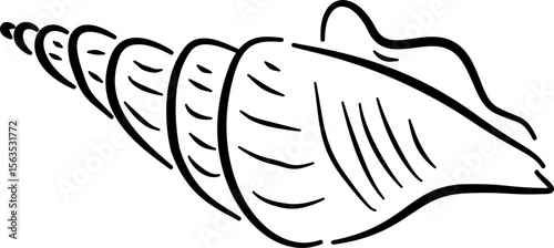Seashell sketch for nature labels marine branding cosmetics packaging stationery wellness decor