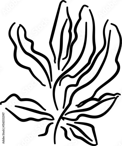 Seaweed illustration for natural packaging botanical label eco branding ocean products