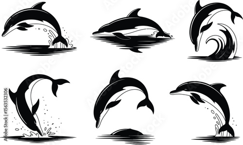 A set of six beautiful dolphin silhouette vector illustrations, showing the marine mammal jumping and splashing in the water.