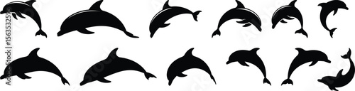 A large collection of twelve dynamic dolphin silhouette vector icons showing the marine animal jumping and swimming in the ocean.