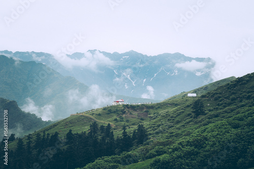 Stunning view from Chandrashila trek with green slopes, pine trees, and snow-dusted Himalayan peaks under a cloudy sky. A peaceful and scenic high-altitude trail in Uttarakhand.