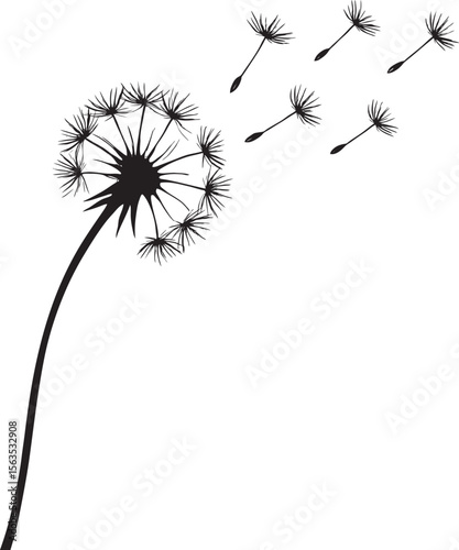 A Gentle Breeze: Dandelion Seeds Taking Flight