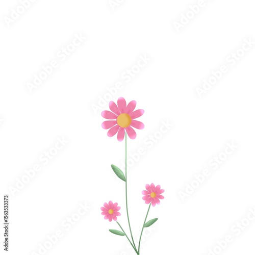 pink cosmos flower