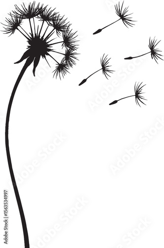 Whispers on the Wind: Dandelion Seeds