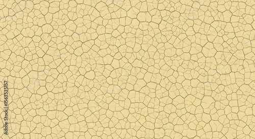 Detailed view of a light tan parched and deeply cracked soil surface