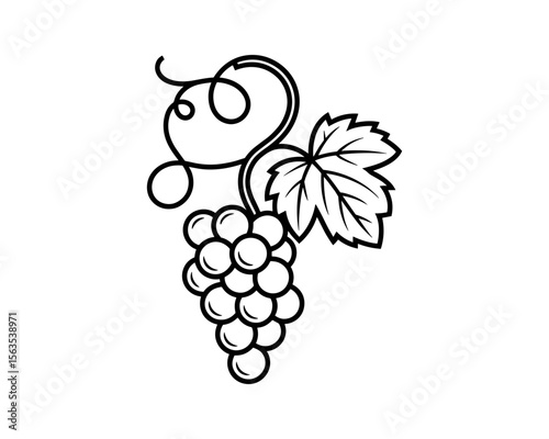 A bunch of grapes with a leaf vector illustration