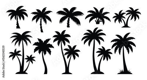 Black Silhouette Palm Tree Vector Collection - Tropical, Beach, Island, Summer, Vacation, Paradise, Exotic, Nature Landscape Elements