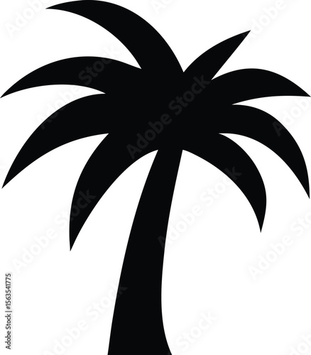 Minimal black silhouette of a wide frond palm tree isolated on transparent background silhouette