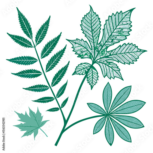 Green leaves vector illustration free download.