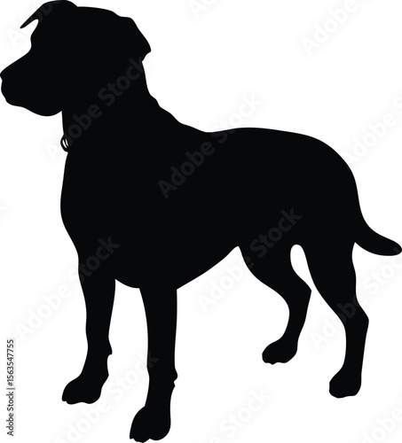 Black Silhouette of a Standing Dog Isolated on White Background