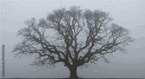 A solitary tree standing in a misty landscape with bare branches reaching towards the sky above it all