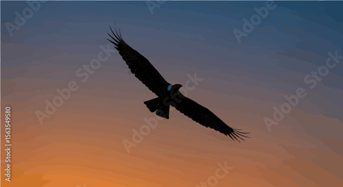 Silhouette of a bird of prey soaring through the sky during a vibrant sunset with outstretched wings