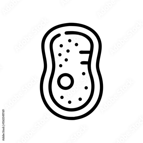 Microscopic cell structure, detailed biological illustration. Cell components include nucleus, cytoplasm, and membrane. This detailed cell image is perfect for biology textbooks.