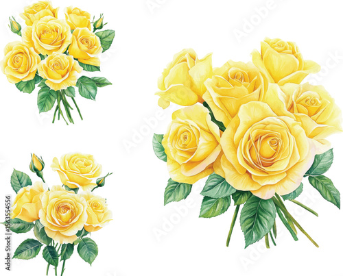 set of Yellow Roses Watercolor Bouquet - Isolated on White vector illustration