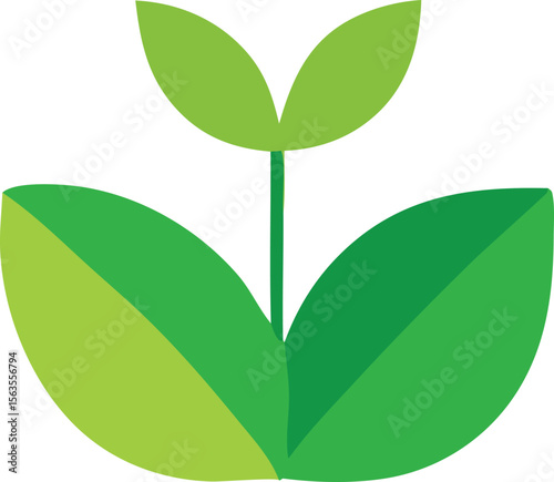A simple stylized illustration of a young green plant with two sets of leaves emerging from a central stem against a white background
