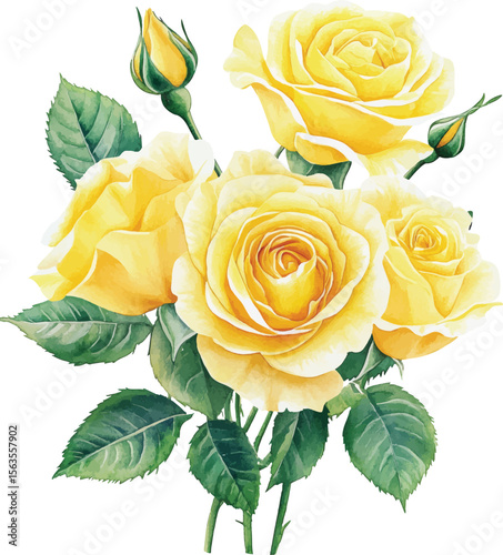 Yellow Roses Watercolor Bouquet - Isolated on White vector illustration