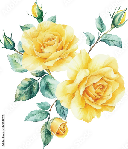 Yellow Roses Watercolor Bouquet - Isolated on White vector illustration