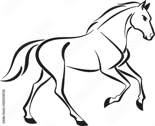 black horse vector illustration