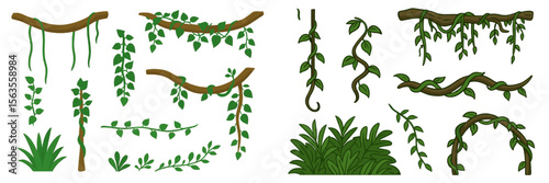Various types of green vines and leaves arranged beautifully for design purposes in a lush natural setting