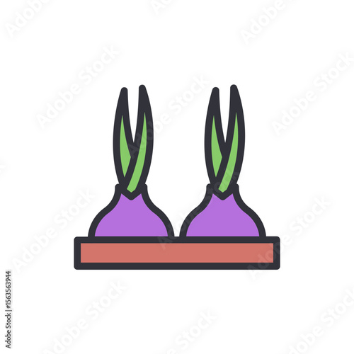 Pair Of Cultivated Onions In A Container, Ready For Harvest