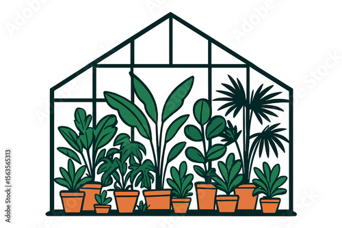 Greenhouse filled with various plants displaying vibrant foliage and terracotta pots in a sunny indoor garden setting