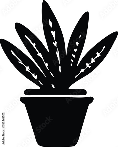 Stylized black silhouette of a potted plant with broad speckled leaves against a white background