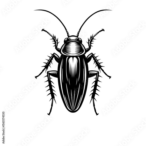 Vector illustration of a black silhouette cockroach