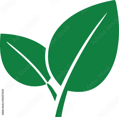 Two stylized green leaves with white veins on a white background representing nature and growth