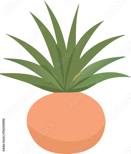 Stylized illustration of a green spiky plant emerging from a smooth round peach colored pot against a white background