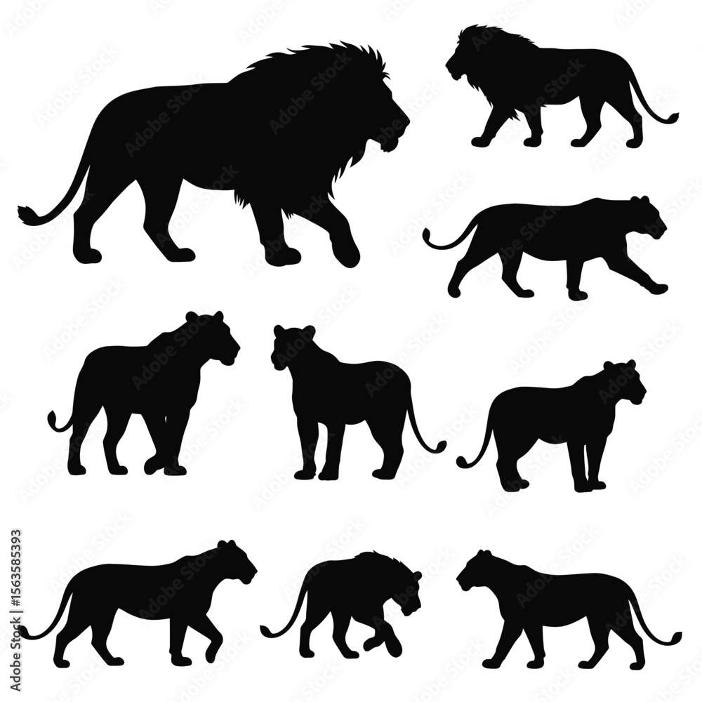 Obraz premium Silhouettes of Lion and Lioness Walking and Standing in Various Poses Vector Illustration for Wildlife and Nature Designs