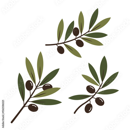 Three olive branches with green and brown leaves and olives in minimal flat design style vector illustration