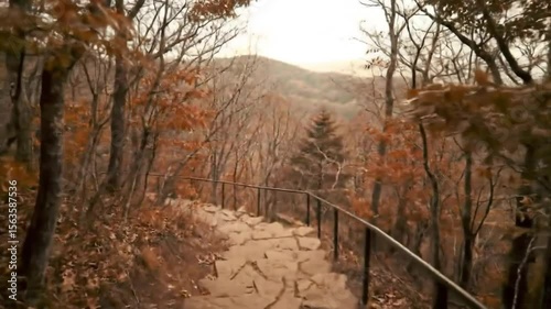 Mount Magazine State Park Arkansas during Sunset Fall Foliage Autumn Colors