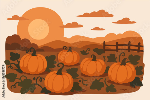 Autumn pumpkin patch sunset scene