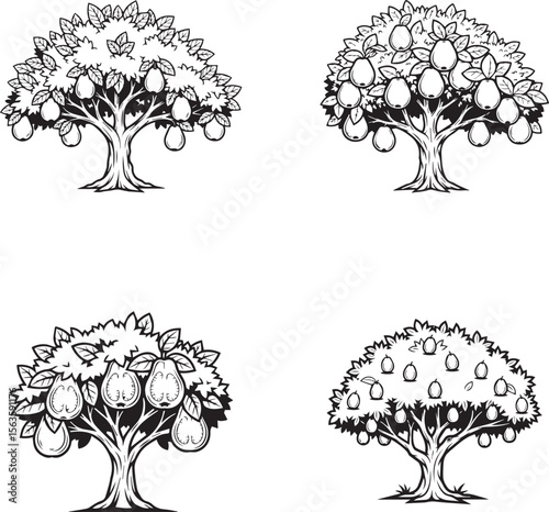 vector illustration of guava tree