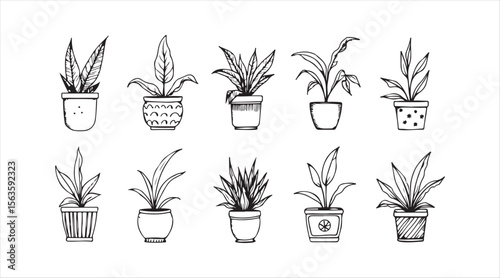 Hand-drawn vector illustrations of indoor plants in pots, symbolizing self-employment and plant retail.

