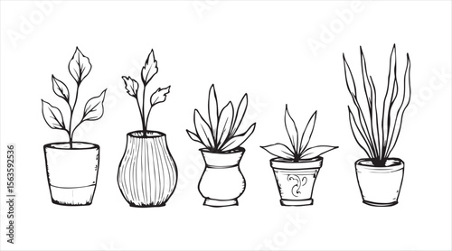 Black and white doodle set of potted home plants, ideal for plant shops and small business branding.

