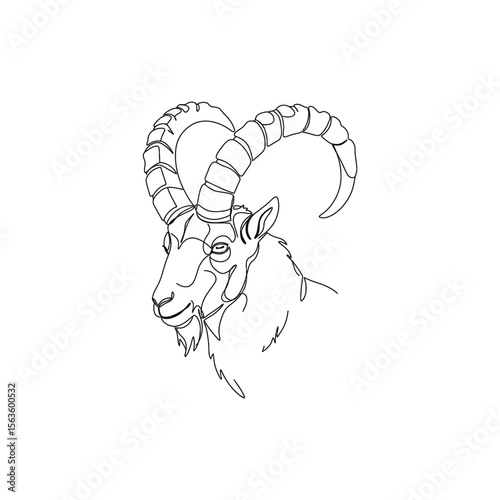 Line art illustration of ibex head