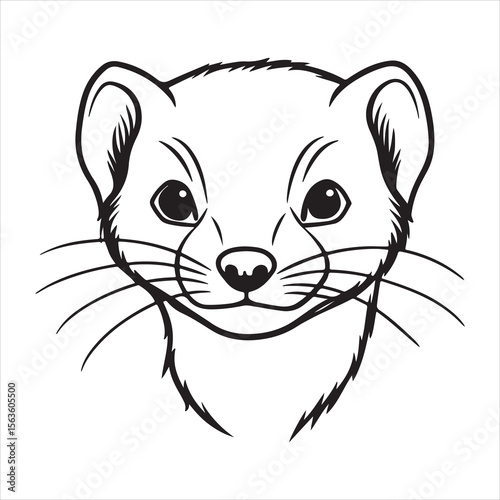 Ferret World: Tiny Explorers with Big Personalities