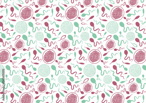 Seamless vector pattern of stylized sperm forms fertilized