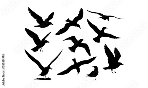 Wallpaper Mural Bird Silhouettes Set Torontodigital.ca