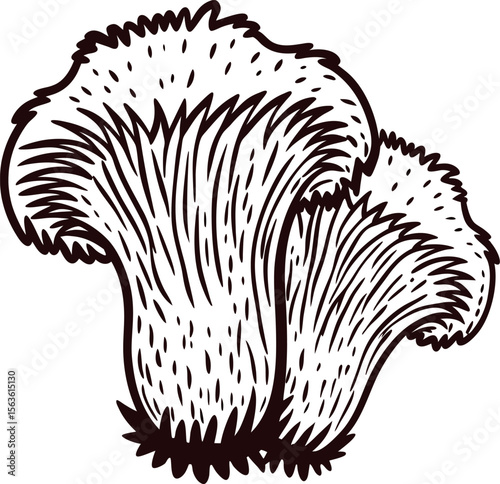 Hand drawn black and white illustration of two chanterelle mushrooms with detailed textured lines