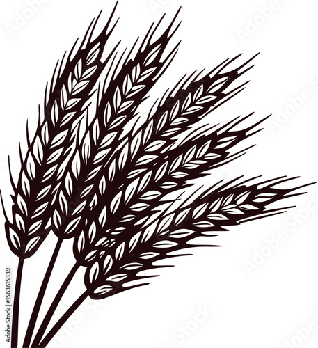 Hand drawn black wheat ears bundle isolated on white background vintage botanical grain illustration