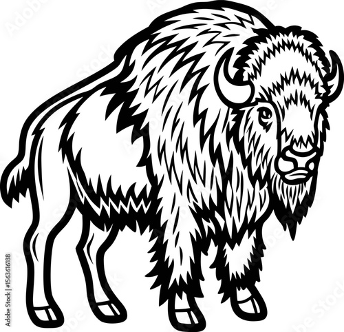 Bold black and white bison illustration with detailed fur and strong stance