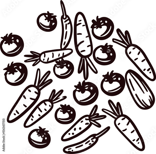 hand drawn carrots and tomatoes isolated on white vintage engraved vegetable illustration