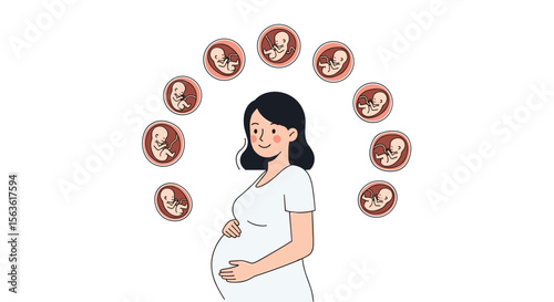 Tracking fetal development through trimesters of pregnancy and understanding key milestones