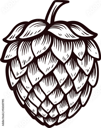 Detailed hand drawn ink illustration of a hop cone isolated on white background for botanical or brewing design